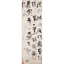 画像をギャラリービューアに読み込む, SR1 楊維禎:草書七言絶句