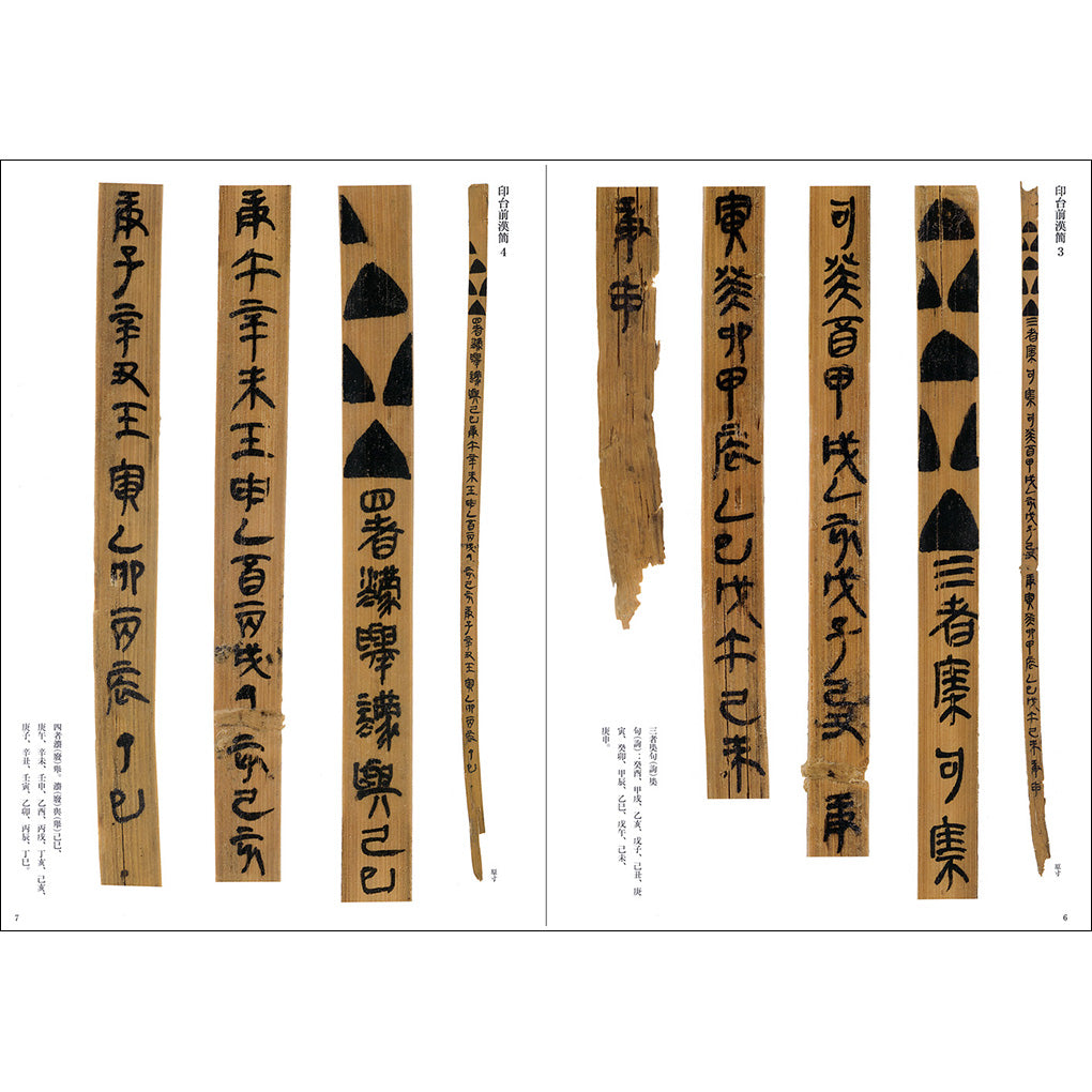 0000252-1_2048x.jpg?v=1646641985