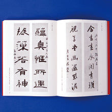 画像をギャラリービューアに読み込む, 陳鴻壽の書法
