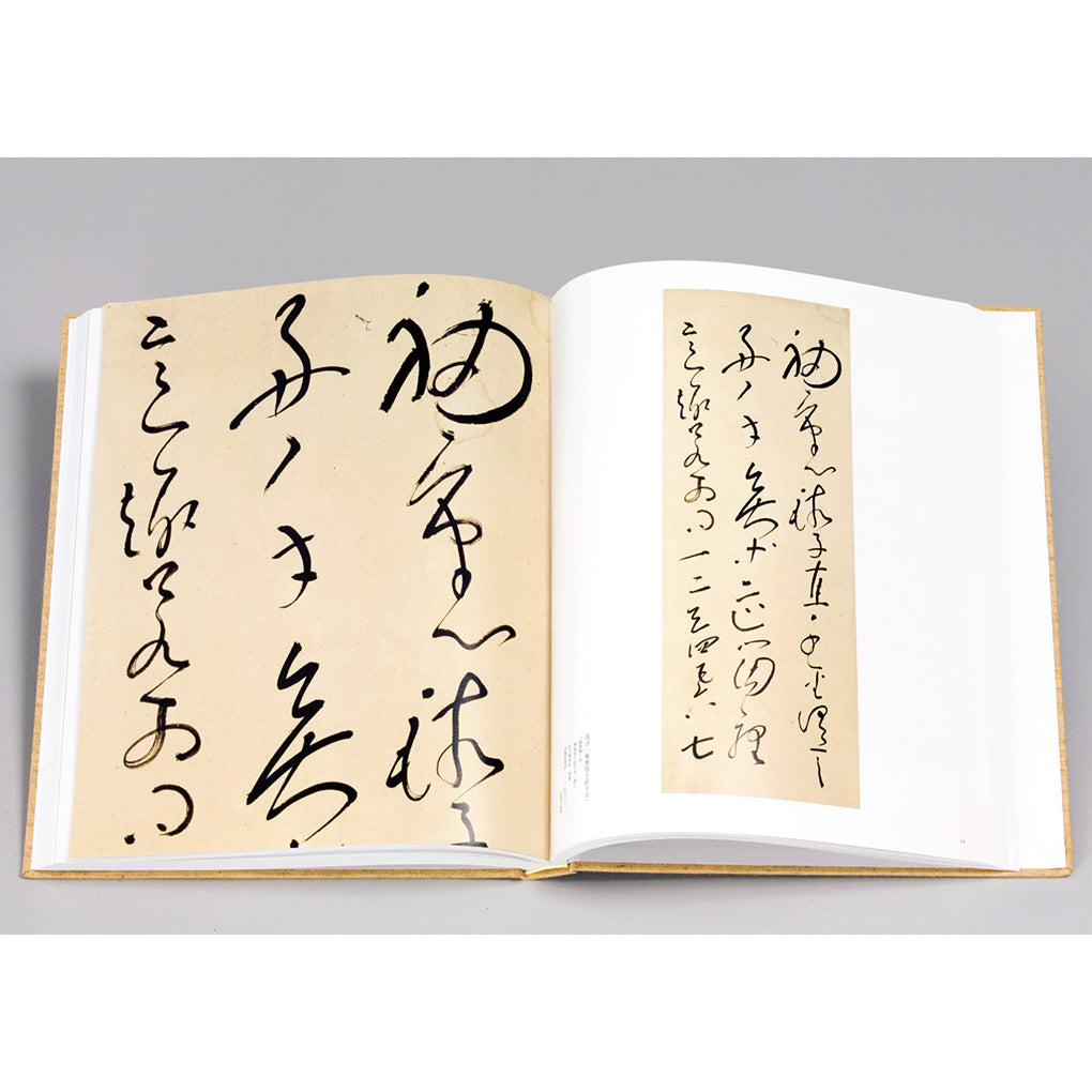 良寛墨宝（全2冊） /二玄社/良寛（大型本）
