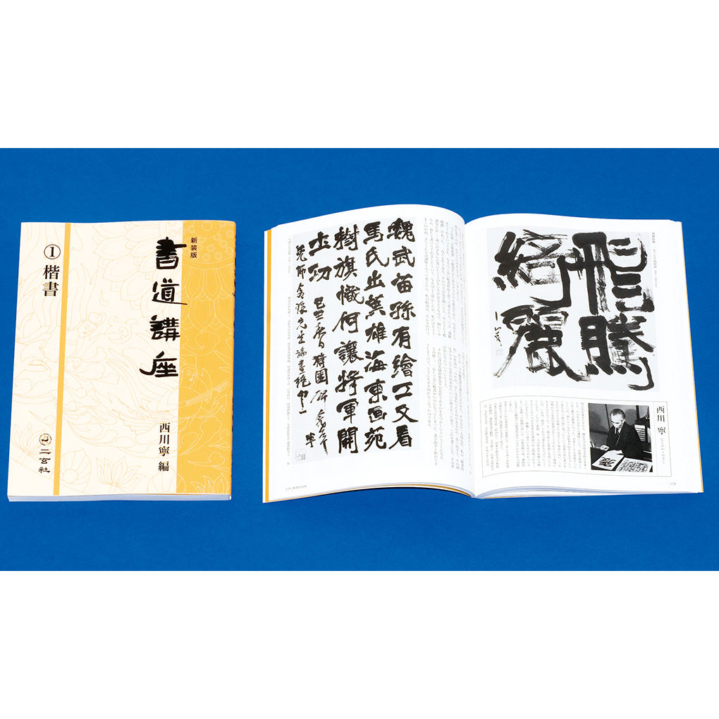 講談社 現代書道全集 づら 楷書