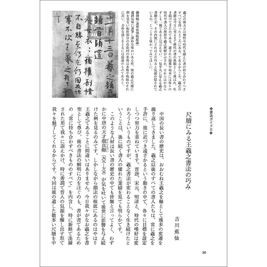 太極拳技法 全 | 楊 澄甫, 笠尾 恭二 |本 | 通販 | Amazon