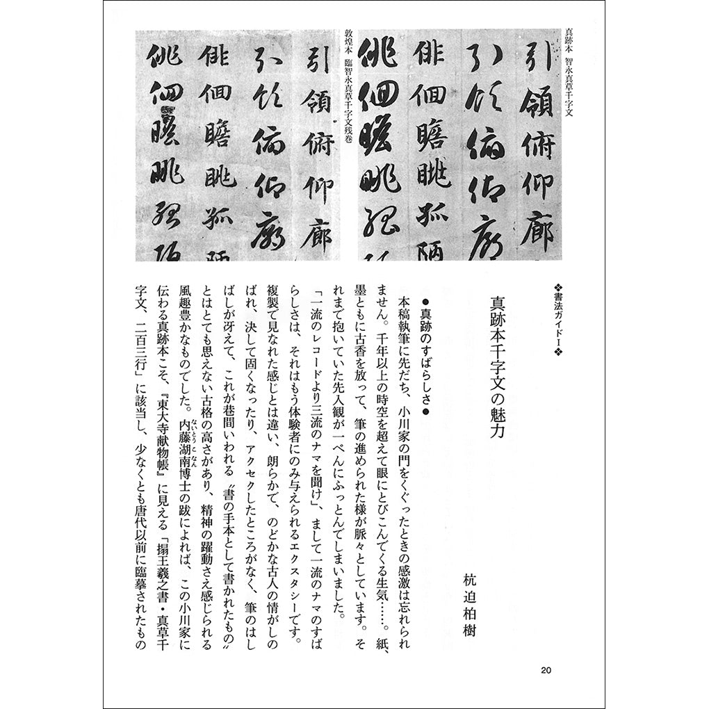 中国法書ガイド27：真草千字文［隋・智永／楷草］