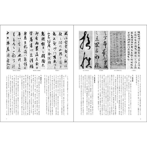 書道技法講座 17冊 二玄社-