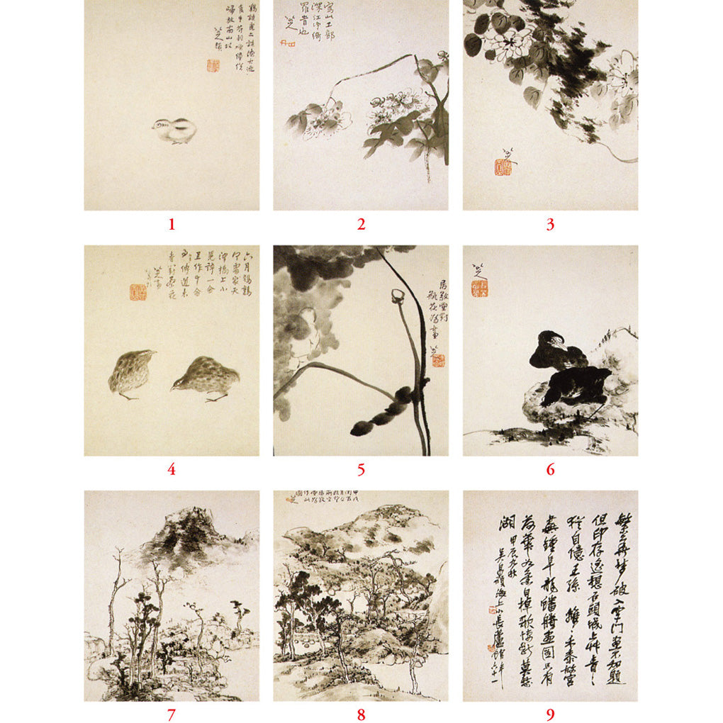 SR8 八大山人：花鳥山水冊– 株式会社二玄社（複製品）
